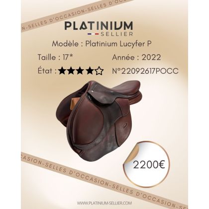 copy of Selle Platinium sellier d’occasion